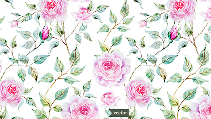 Vector pink roses watercolor