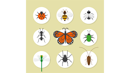 9 exquisite insect icon vector material