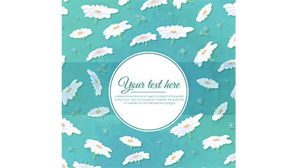 White chrysanthemums on a blue background vector material