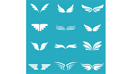 12 white wings design vector material