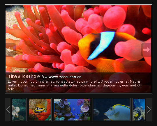 SlideShow Web Album code (JS + CSS)