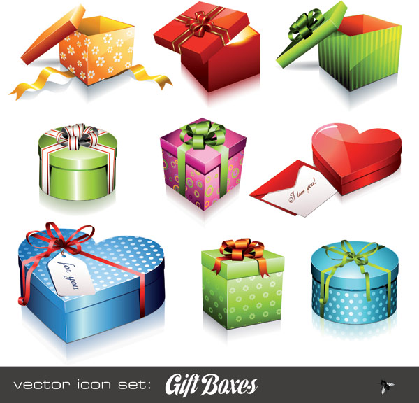 Holiday gift icon vector