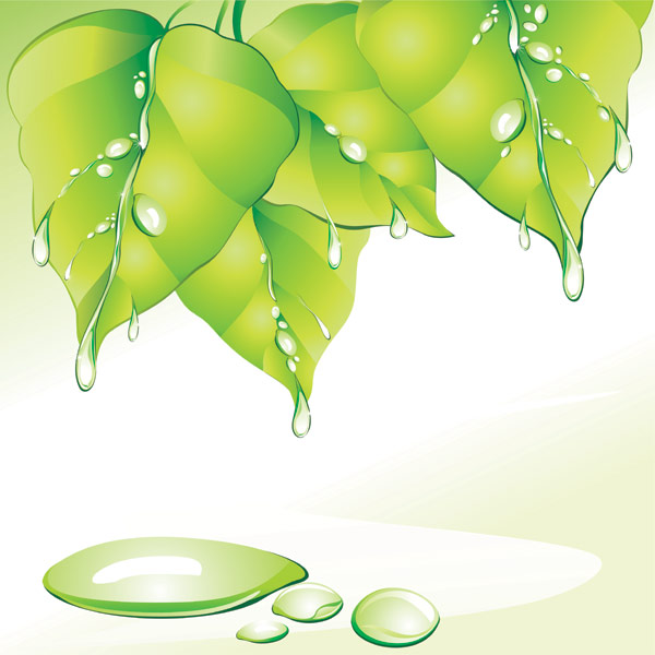 Green Leaf water 