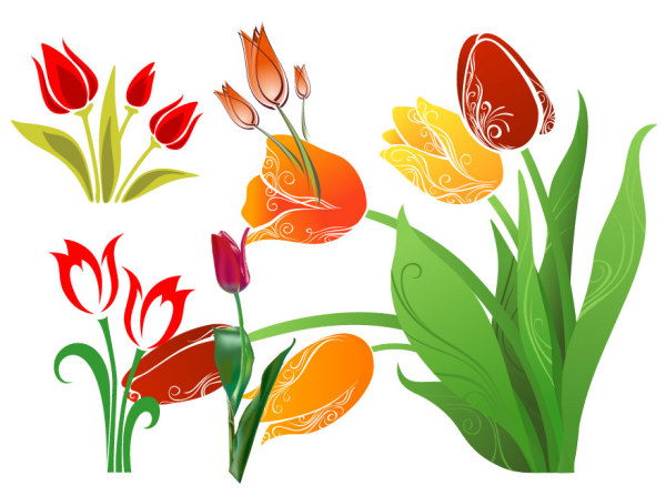 Tulip vector material