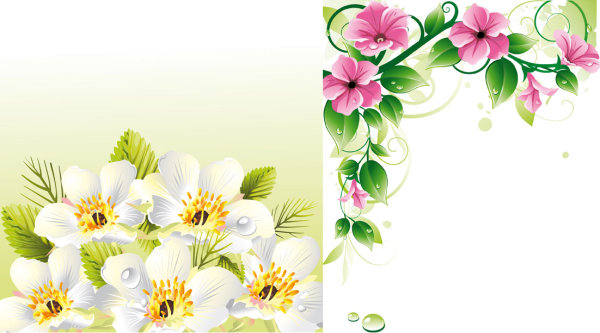 Vector flower borders \u0026amp; background