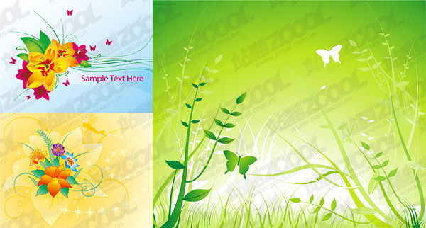 Butterfly Flower Plant