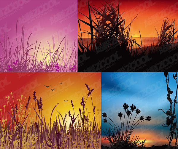 Vector sunset scenery