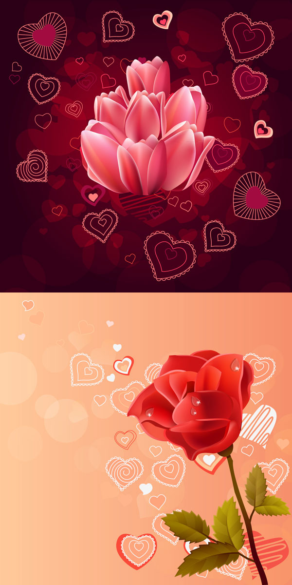 Pink rose red rose vector