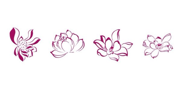 Zhang Daqian style lotus line drawing material