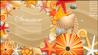 Shells and starfish material 02-- vector material