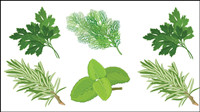 Chinese herbal foliage 04 - vector