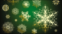 Beautiful snowflake pattern 04 - vector material