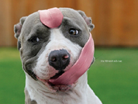 Advertising Creative appreciate