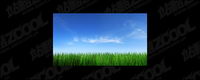 Grass sky picture material-4