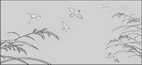Vector line drawing of flowers-33(Rice, birds)