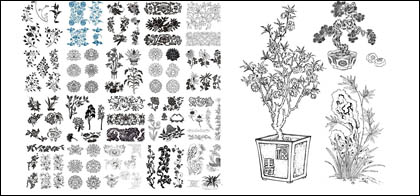 CDR Vector 49 motifs