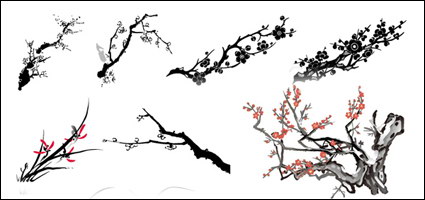 Plum Orchid vector