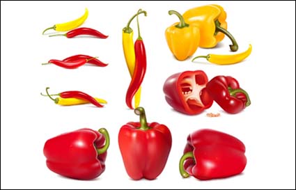 cpepper, vegetables, bell peppers vector