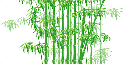 The green bamboo vector material